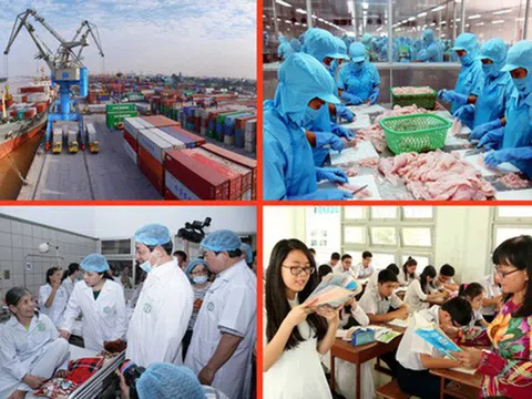 Chuyên gia kinh tế Vũ Thành Tự Anh với những chia sẻ về những thách thức với nền kinh tế VIệt Nam trong đợt đại dịch Covid-19